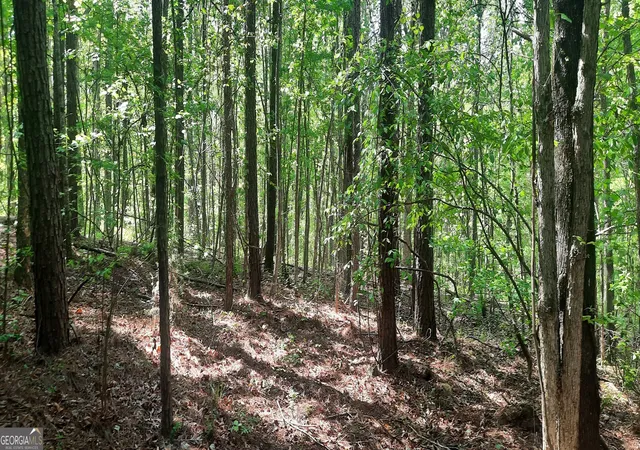 Photo 3 of Land for sale at 11300 Azalea Trl, Hampton, GA 30228 | MLS# 10728033 | Listing updated on 2026-09-09