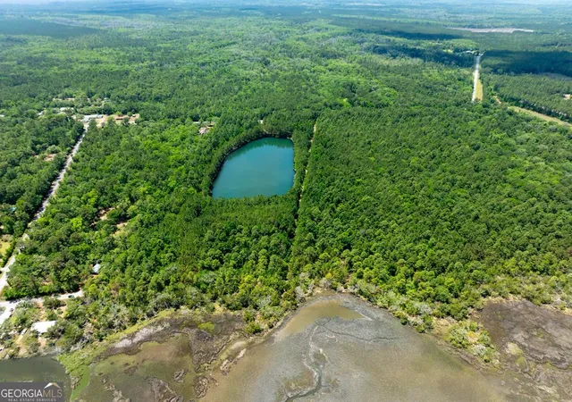 3rd image of N/A 21 Acres Dover Bluff Rd, Waverly, GA 31565 | MLS# 10678185