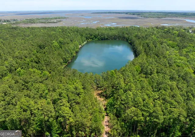 4th image of N/A 21 Acres Dover Bluff Rd, Waverly, GA 31565 | MLS# 10678185