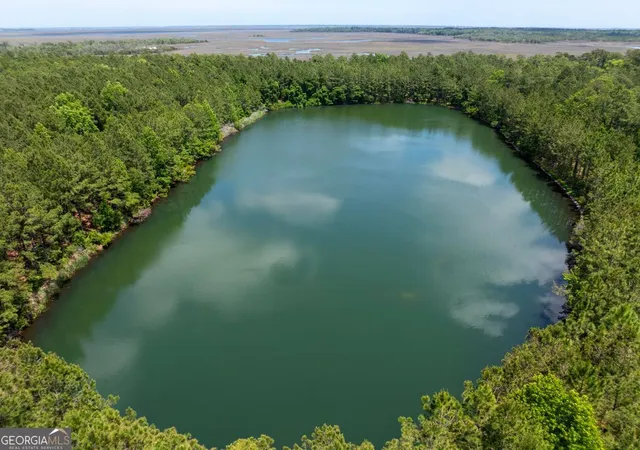 5th image of N/A 21 Acres Dover Bluff Rd, Waverly, GA 31565 | MLS# 10678185