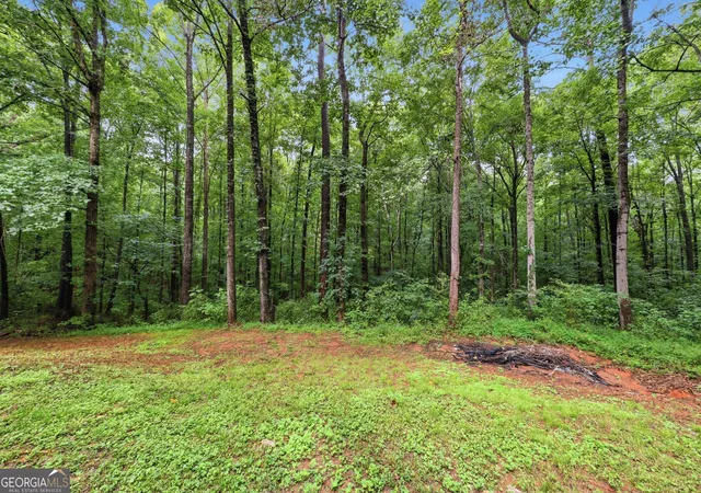 36th image of 208 Foxdale Ct, Lagrange, GA 30240 | MLS# 10822796