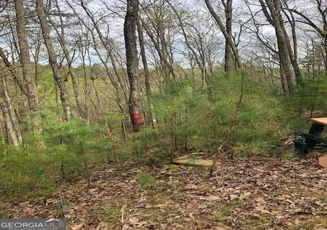 Photo 4 of Sale Pending at Lt 17b Lakeland Dr, Ellijay, GA 30540 | MLS# 10710466 | Listing updated on 2026-03-26