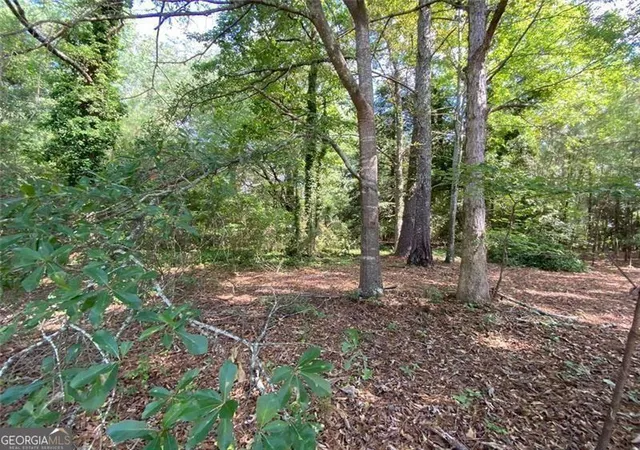 Photo 1 of Land for sale at 466 Highway 81, Covington, GA 30014 | MLS# 10395355 | Listing updated on 2025-12-30