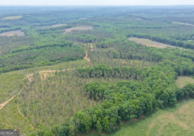 Photo 15 of Land for sale at 319 +/  Ac Hwy 100, Franklin, GA 30217 | MLS# 10561671 | Listing updated on 2026-05-12
