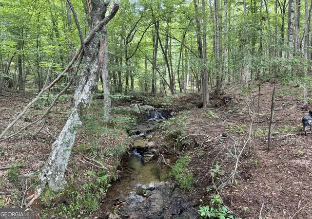 Photo 1 of Land for sale at 319 +/  Ac Hwy 100, Franklin, GA 30217 | MLS# 10561671 | Listing updated on 2026-05-12
