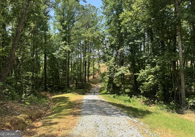 Photo 2 of Land for sale at 319 +/  Ac Hwy 100, Franklin, GA 30217 | MLS# 10561671 | Listing updated on 2026-05-12