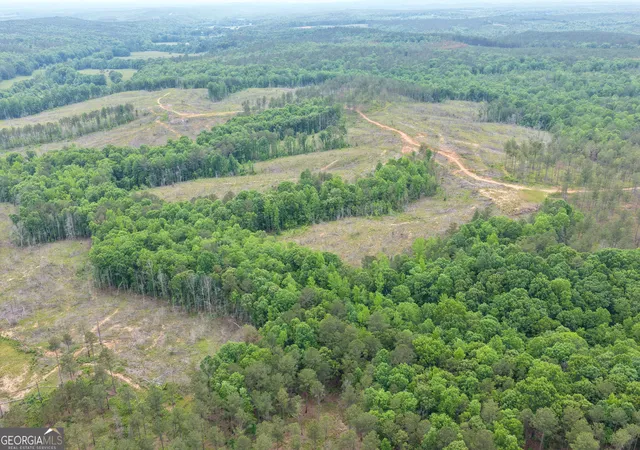 Photo 2 of Land for sale at 319 +/- Ac Hwy 100, Franklin, GA 30217 | MLS# 10561671 | Listing updated on 2026-05-12