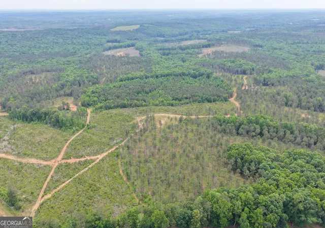 Photo 3 of Land for sale at 319 +/- Ac Hwy 100, Franklin, GA 30217 | MLS# 10561671 | Listing updated on 2026-05-12