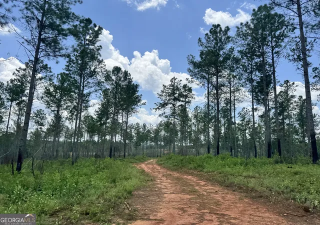 Photo 4 of Land for sale at 319 +/- Ac Hwy 100, Franklin, GA 30217 | MLS# 10561671 | Listing updated on 2026-05-12