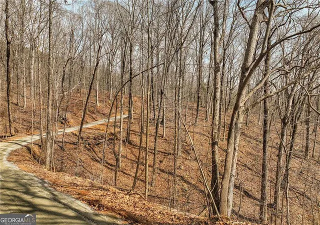 14th image of Lot 10 Mount Mincie Rd, Murrayville, GA 30564 | MLS# 10823137