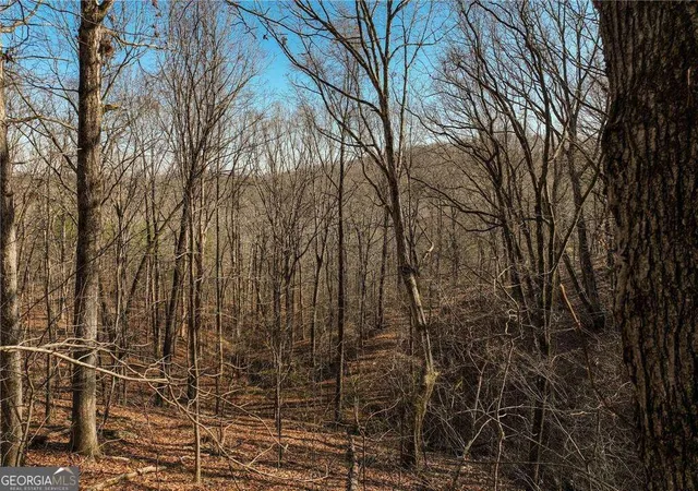 2nd image of Lot 10 Mount Mincie Rd, Murrayville, GA 30564 | MLS# 10823137