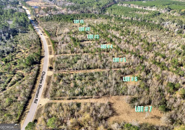 Photo 2 of Land for sale at Lot 6 Charles Shuman Rd, Pembroke, GA 31321 | MLS# 10610886 | Listing updated on 2026-09-05
