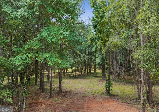Homes for sale in Greenville, GA | 661 Hugh Oneal Rd, Greenville, GA 30222 | MLS# 10800105
