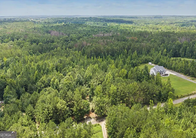 Homes for sale in Greenville, GA | 661 Hugh Oneal Rd, Greenville, GA 30222 | MLS# 10800105