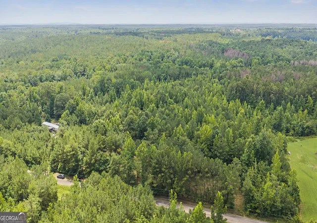 Homes for sale in Greenville, GA | 661 Hugh Oneal Rd, Greenville, GA 30222 | MLS# 10800105