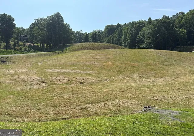 2nd image of Lot 29 Big Valley Overlook, Morganton, GA 30560 | MLS# 10805272