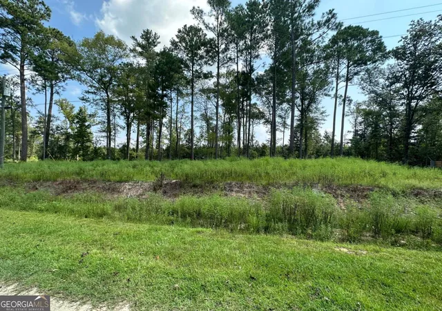 Photo 3 of Land for sale at 0 Dead River Rd Lots #25 26 27 32 #LOTS 25, 26, 27, 32, Uvalda, GA 30473 | MLS# 10742280 | Listing updated on 2026-09-08