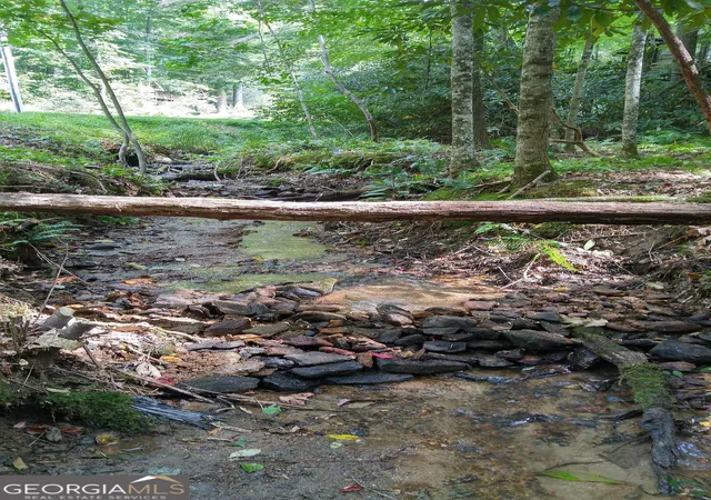 1st image of 0 Lot 8 Bald Mountain Rd #LOT 8, Sky Valley, GA 30537 | MLS# 10776269