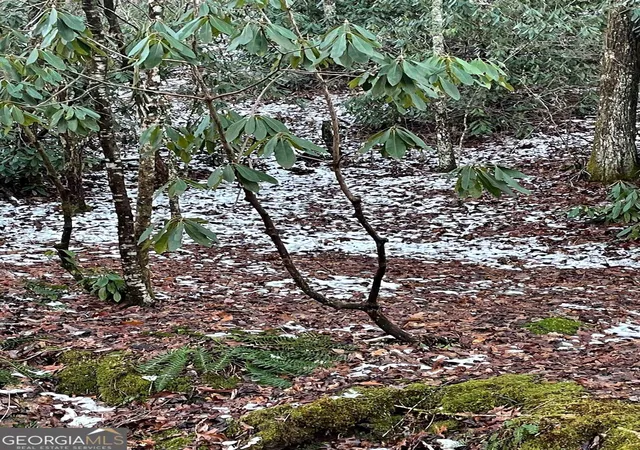 2nd image of 0 Lot 8 Bald Mountain Rd #LOT 8, Sky Valley, GA 30537 | MLS# 10776269