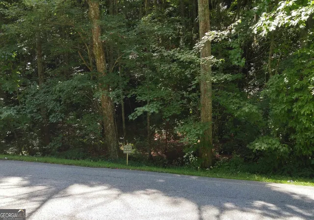 4th image of 0 Lot 8 Bald Mountain Rd #LOT 8, Sky Valley, GA 30537 | MLS# 10776269