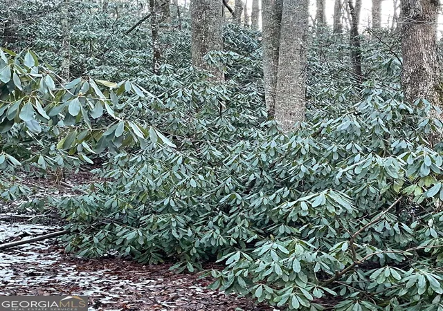 5th image of 0 Lot 8 Bald Mountain Rd #LOT 8, Sky Valley, GA 30537 | MLS# 10776269