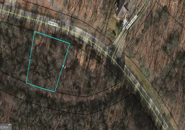 8th image of 0 Lot 8 Bald Mountain Rd #LOT 8, Sky Valley, GA 30537 | MLS# 10776269