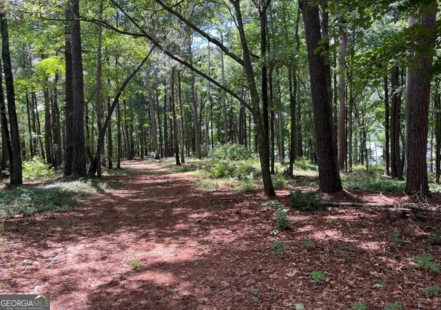 3rd image of 1595 Pullman Ln, Greensboro, GA 30642 | MLS# 10790596