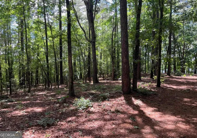 4th image of 1595 Pullman Ln, Greensboro, GA 30642 | MLS# 10790596