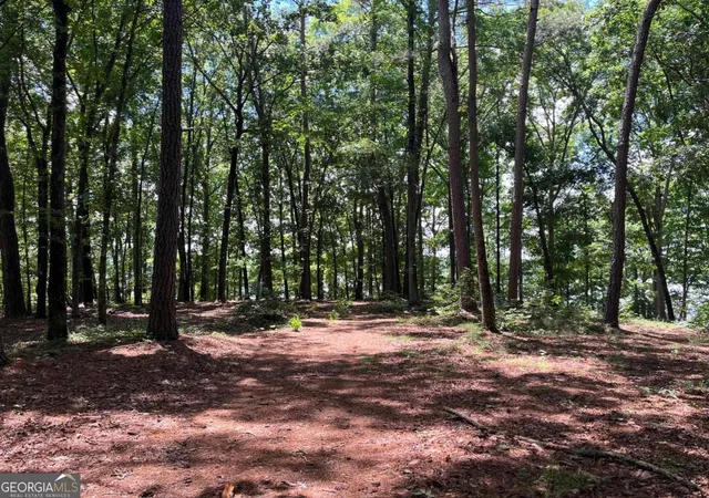 5th image of 1595 Pullman Ln, Greensboro, GA 30642 | MLS# 10790596