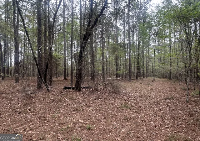 Homes for sale in Perkins, GA | 0 Fred Chance Rd, Perkins, GA 30442 | MLS# 10786379