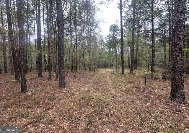 Homes for sale in Perkins, GA | 0 Fred Chance Rd, Perkins, GA 30442 | MLS# 10786379