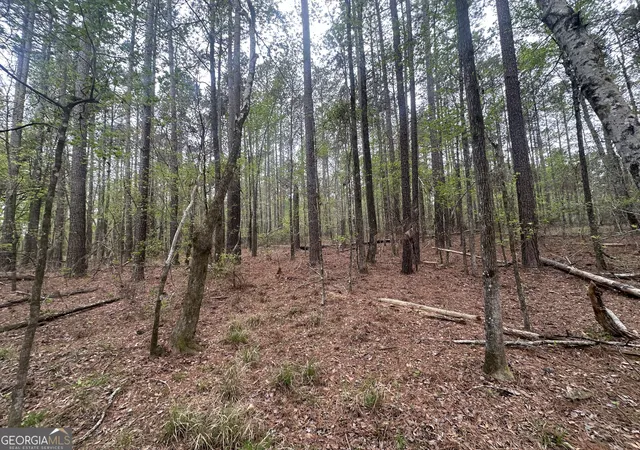 Homes for sale in Perkins, GA | 0 Fred Chance Rd, Perkins, GA 30442 | MLS# 10786379