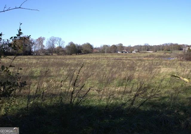 3rd image of Tract 2 Seed Cleaner, Hartwell, GA 30643 | MLS# 10775328