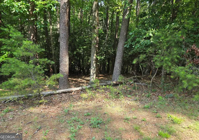 Homes for sale in Sautee Nacoochee, GA | C2 Quail Run, Sautee Nacoochee, GA 30571 | MLS# 10792921