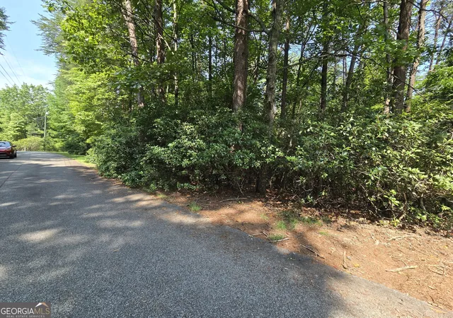 Homes for sale in Sautee Nacoochee, GA | C2 Quail Run, Sautee Nacoochee, GA 30571 | MLS# 10792921