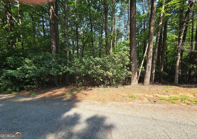 Homes for sale in Sautee Nacoochee, GA | C2 Quail Run, Sautee Nacoochee, GA 30571 | MLS# 10792921