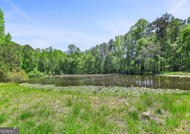 47th image of 143 Cedar Creek Rd, Newnan, GA 30263 | MLS# 10741811