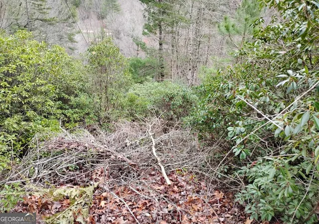 Photo 1 of Land for sale at Lt 166 Shenendoa Dr #166, Ellijay, GA 30540 | MLS# 10710626 | Listing updated on 2026-03-28