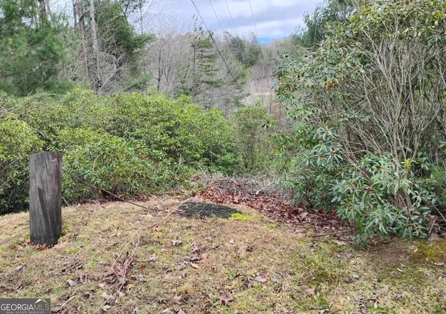 Photo 1 of Land for sale at Lt 166 Shenendoa Dr #166, Ellijay, GA 30540 | MLS# 10710626 | Listing updated on 2026-03-28