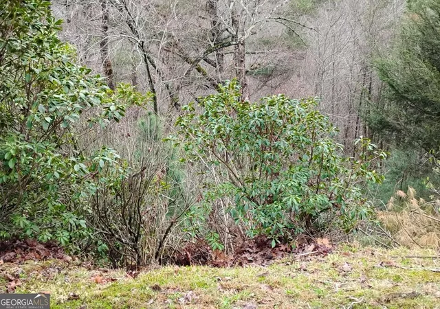 Photo 4 of Land for sale at Lt 166 Shenendoa Dr #166, Ellijay, GA 30540 | MLS# 10710626 | Listing updated on 2026-03-28