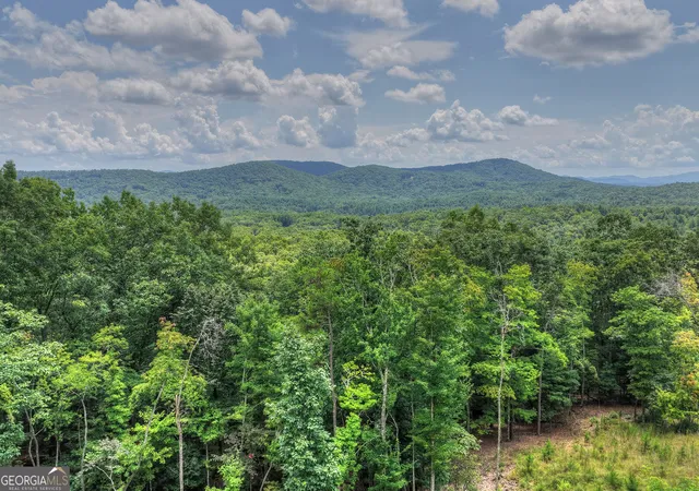 3rd image of 25 Boundless Trl, Morganton, GA 30560 | MLS# 10799648