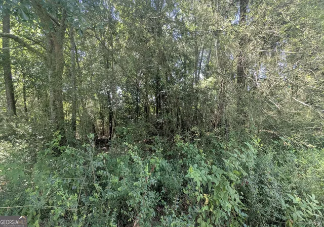 Photo 4 of Land for sale at 9 Heather Cir, Cave Spring, GA 30124 | MLS# 10831192 | Listing updated on 2026-09-05