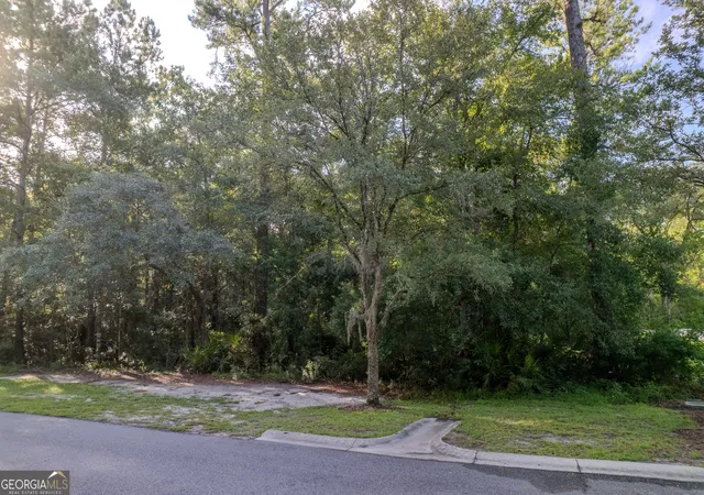 12th image of Lot 134 Canoe Run, Woodbine, GA 31569 | MLS# 10809550