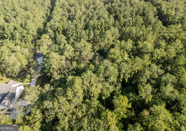4th image of Lot 134 Canoe Run, Woodbine, GA 31569 | MLS# 10809550