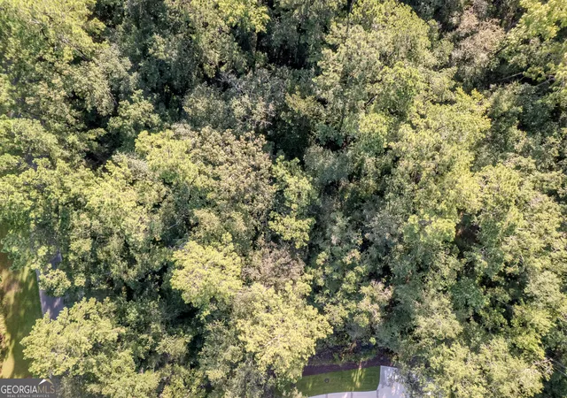 5th image of Lot 134 Canoe Run, Woodbine, GA 31569 | MLS# 10809550