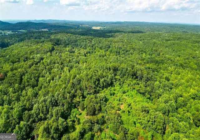 15th image of 0 Nathan Dean Pkwy, Rockmart, GA 30153 | MLS# 10821609
