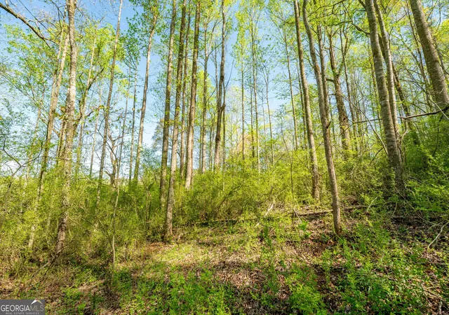 Photo 3 of Sale Pending at 0 Glade Rocks Springs Rd, Clarkesville, GA 30523 | MLS# 10726798 | Listing updated on 2026-09-08