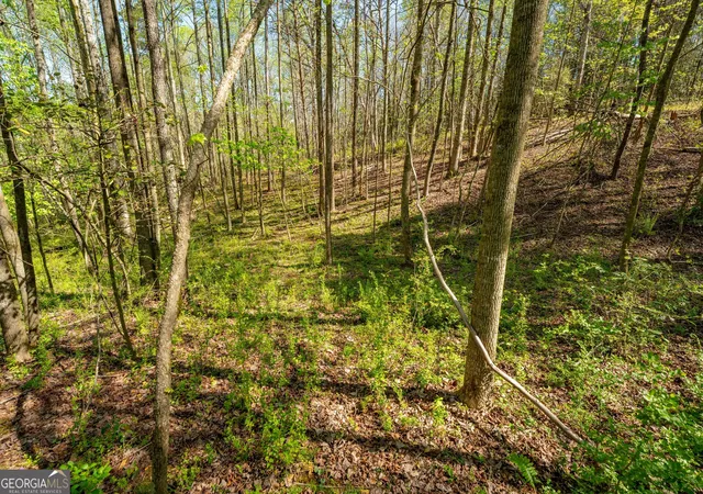 Photo 4 of Sale Pending at 0 Glade Rocks Springs Rd, Clarkesville, GA 30523 | MLS# 10726798 | Listing updated on 2026-09-08
