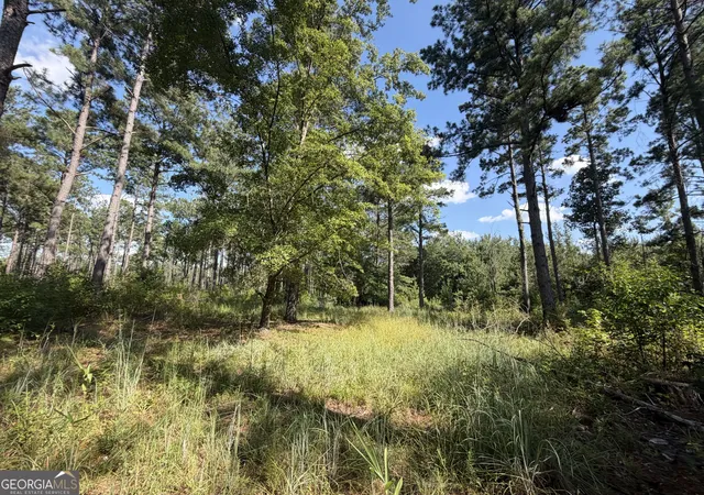 33rd image of 7 Sunhill Grange Rd, Davisboro, GA 31018 | MLS# 10832657
