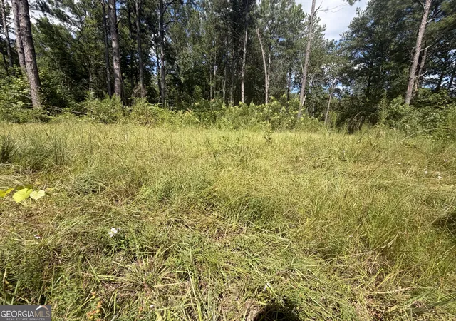Photo 3 of Land for sale at 7 Sunhill Grange Rd, Davisboro, GA 31018 | MLS# 10832657 | Listing updated on 2026-09-25